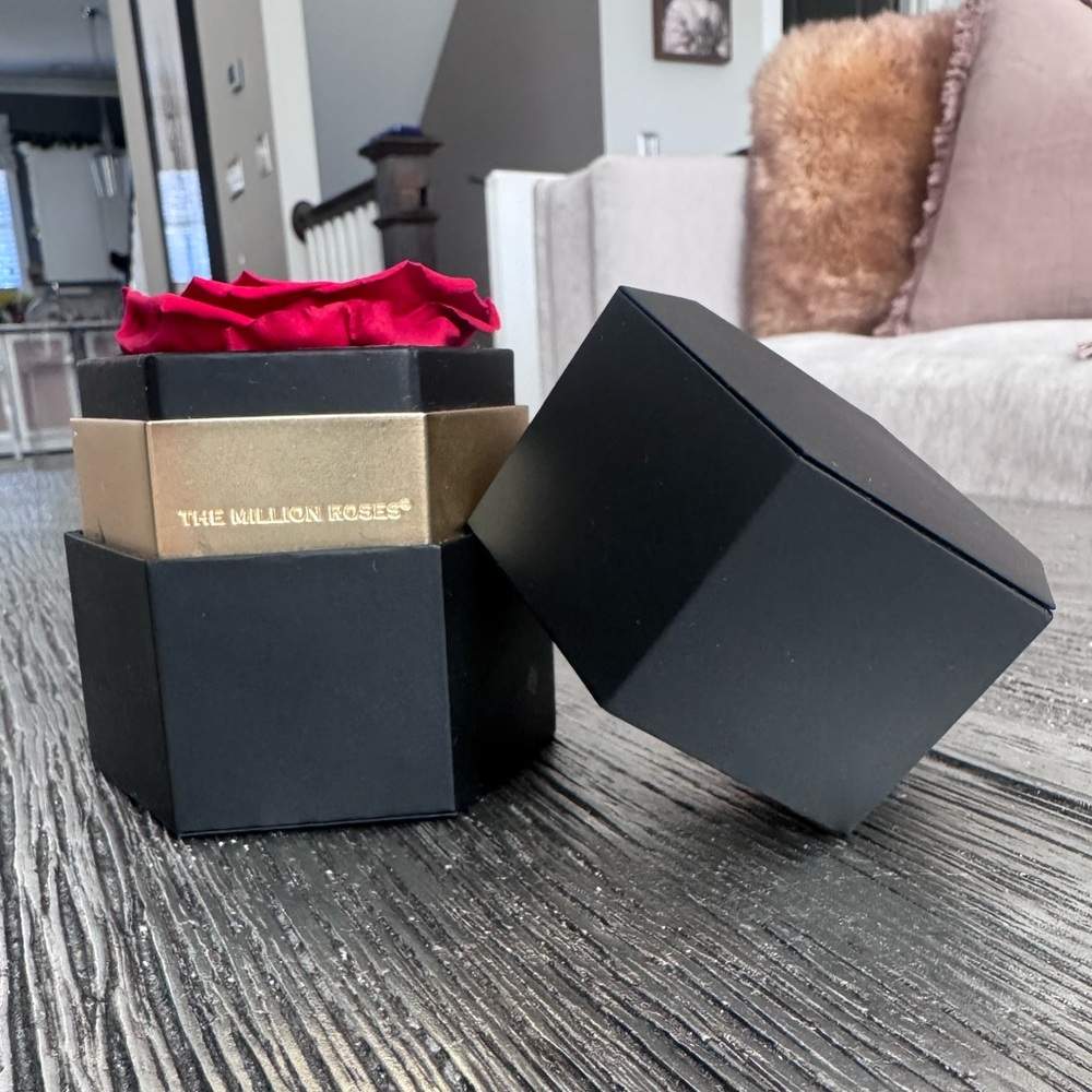 The Million Roses: Red Rose 🌹 - Picture 5 of 12